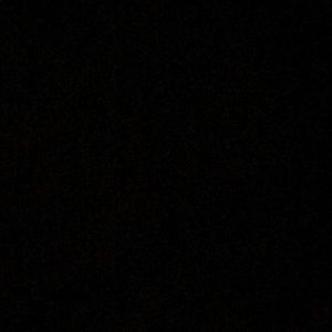 Meet your Posher, Lily